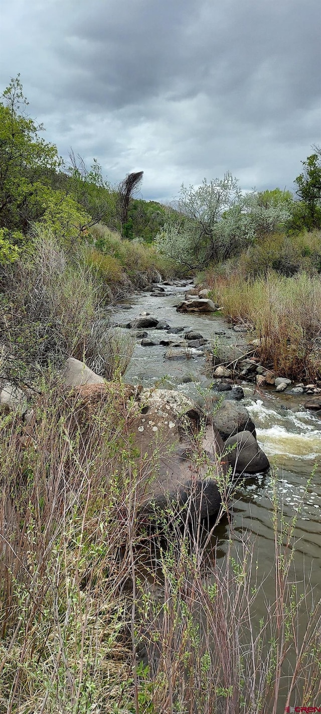 12912 3100th Rd, Hotchkiss, CO 81419 - view of local wilderness