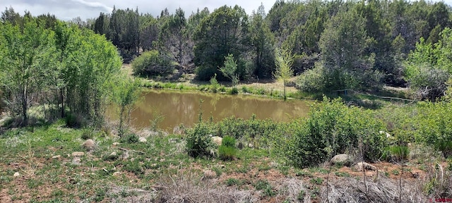 12912 3100th Rd, Hotchkiss, CO 81419 - view of tree filled area featuring a water view