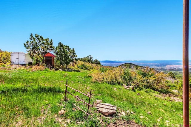 LOT7 Aspen Hills Rd, Cedaredge, CO 81413 - view of yard