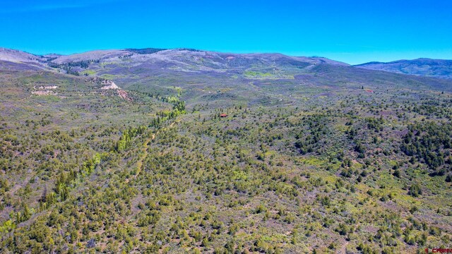 LOT7 Aspen Hills Rd, Cedaredge, CO 81413 - view of mountain backdrop