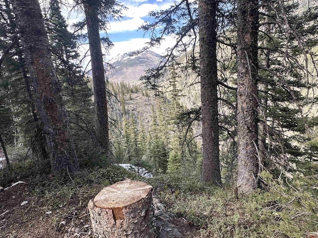 Cascade Highway 550 N, Silverton, CO 81433