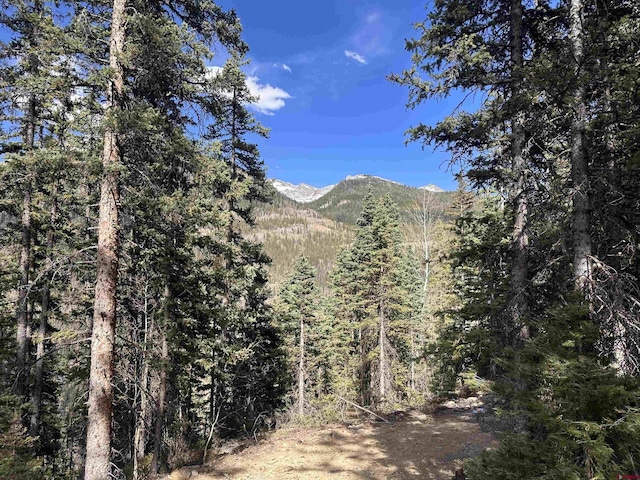 Cascade Highway 550 N, Silverton, CO 81433