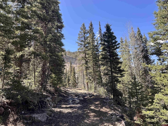 Cascade Highway 550 N, Silverton, CO 81433