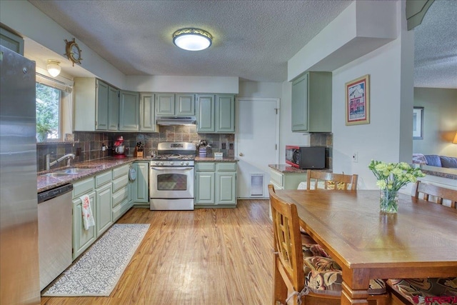 43 W Radiant Ct, Pagosa Springs, CO 81147 - kitchen with appliances with stainless steel finishes, a textured ceiling, green cabinetry, a sink, and light wood finished floors