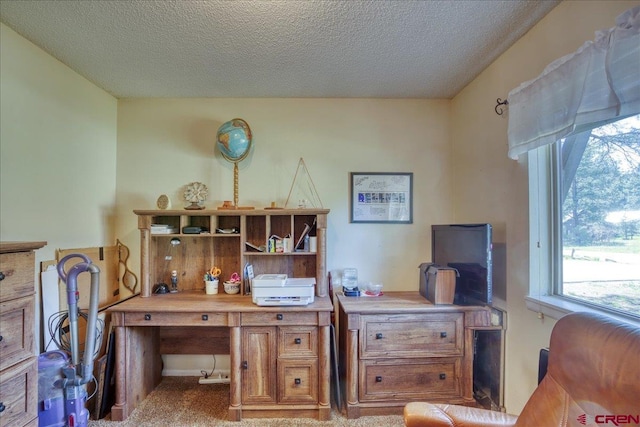 43 W Radiant Ct, Pagosa Springs, CO 81147 - home office featuring a textured ceiling