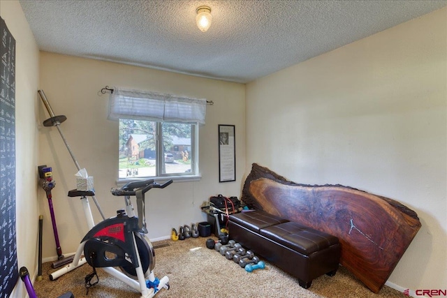 43 W Radiant Ct, Pagosa Springs, CO 81147 - exercise area with carpet, a textured ceiling, and baseboards