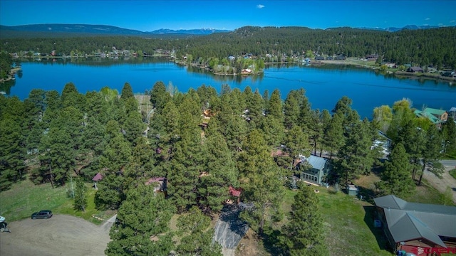 43 W Radiant Ct, Pagosa Springs, CO 81147 - bird's eye view of a forest and a nearby body of water