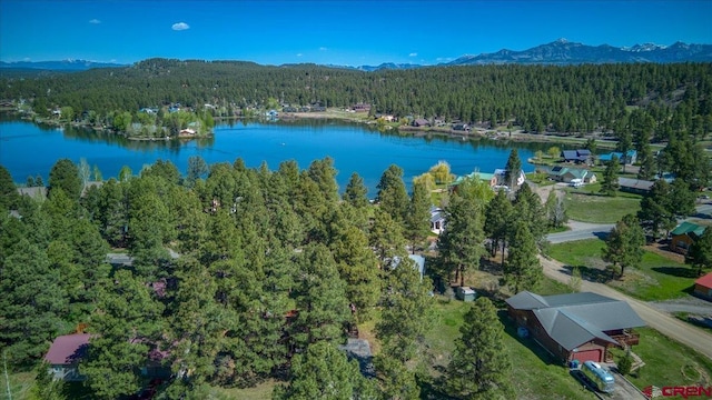 43 W Radiant Ct, Pagosa Springs, CO 81147 - drone / aerial view of a forest and a water and mountain view