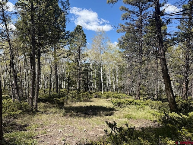 261 Crest Dr, Cimarron, CO 81220