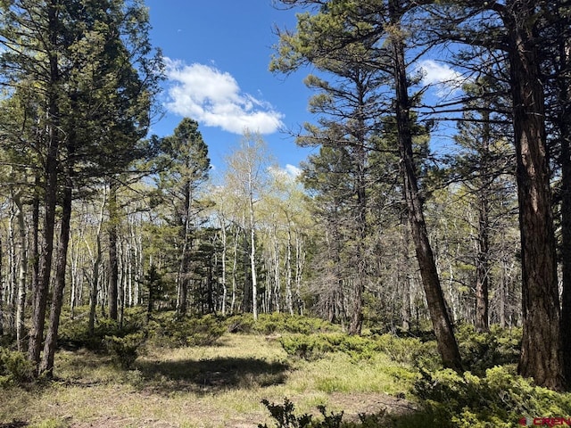 261 Crest Dr, Cimarron, CO 81220