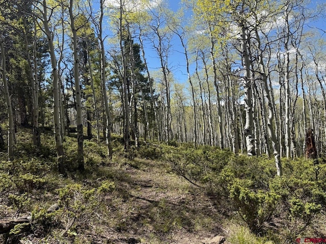 261 Crest Dr, Cimarron, CO 81220