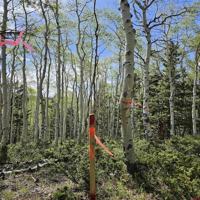 261 Crest Dr, Cimarron, CO 81220