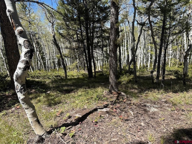 261 Crest Dr, Cimarron, CO 81220