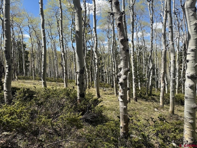 261 Crest Dr, Cimarron, CO 81220