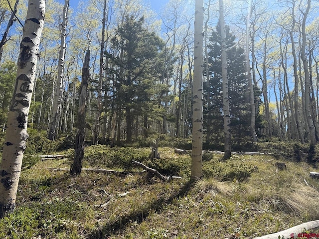 261 Crest Dr, Cimarron, CO 81220