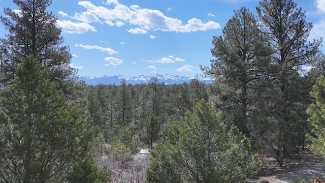 141 Big Canyon Pt, Ridgway, CO 81432
