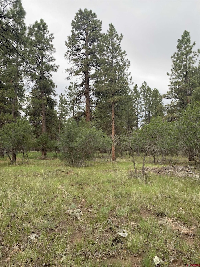 LOT430 S Badger Trl, Ridgway, CO 81432