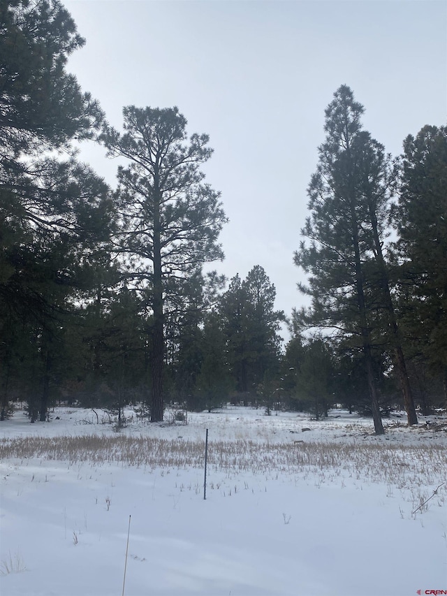 LOT430 S Badger Trl, Ridgway, CO 81432