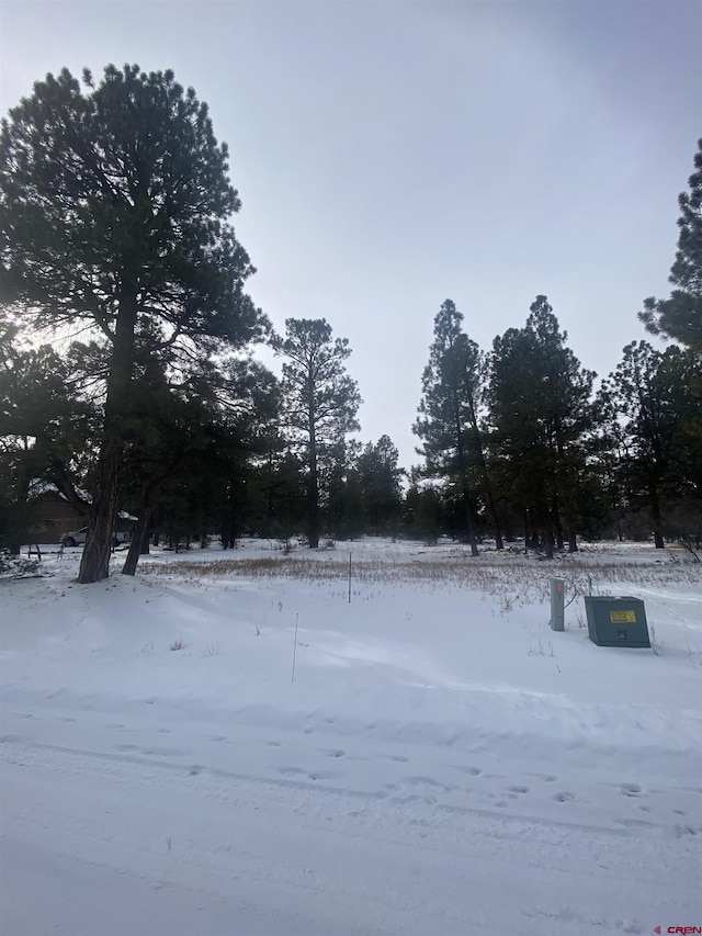 LOT430 S Badger Trl, Ridgway, CO 81432