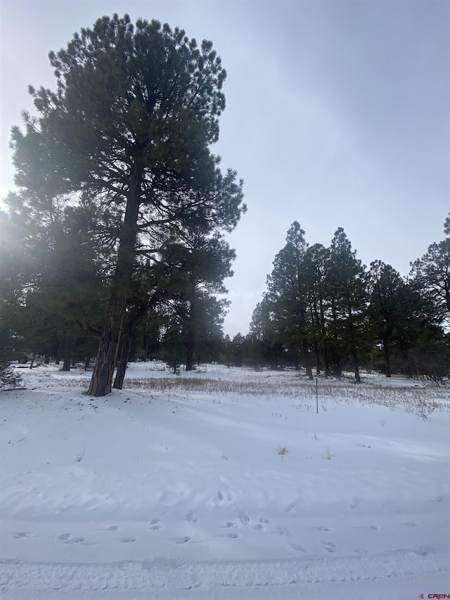 LOT430 S Badger Trl, Ridgway, CO 81432