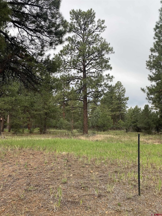 LOT430 S Badger Trl, Ridgway, CO 81432