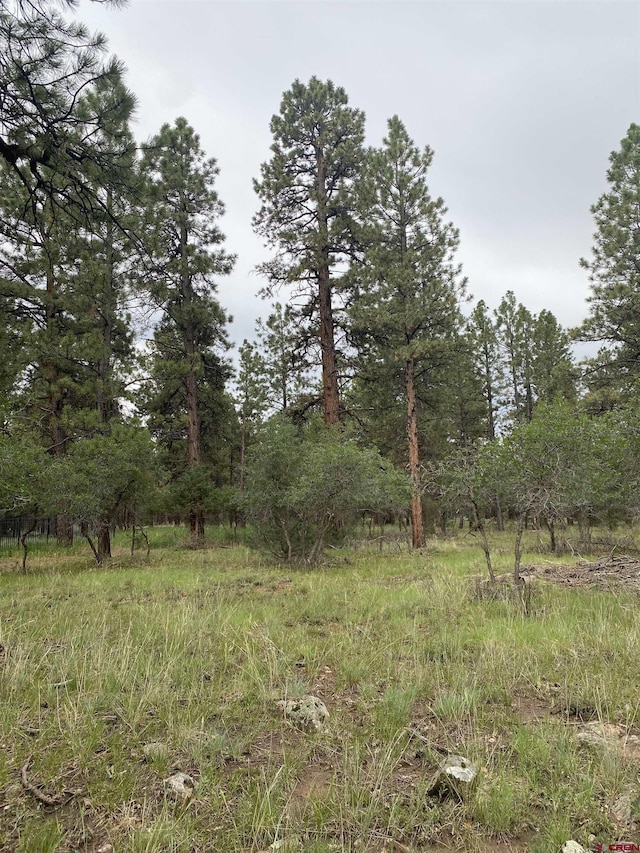 LOT430 S Badger Trl, Ridgway, CO 81432