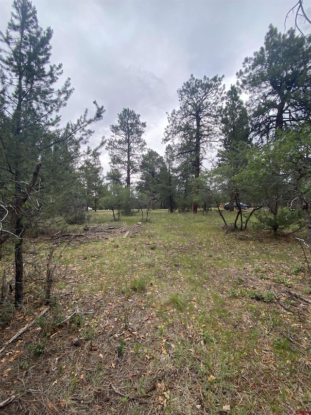 LOT430 S Badger Trl, Ridgway, CO 81432