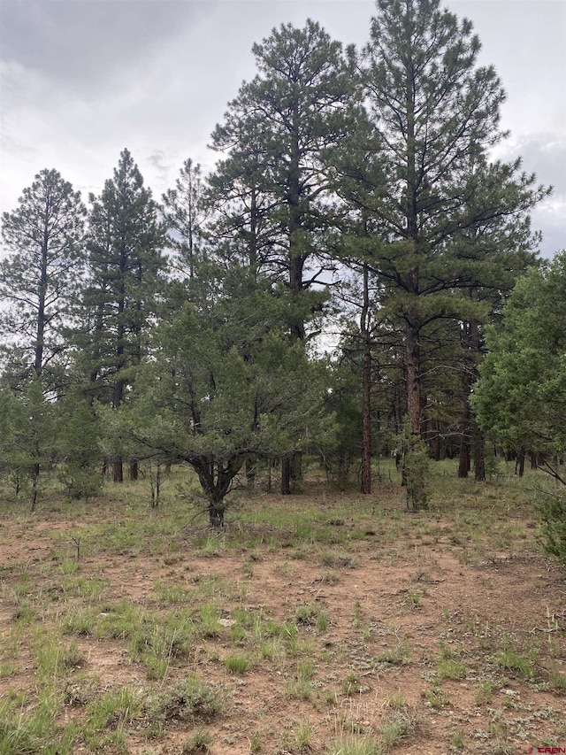 LOT430 S Badger Trl, Ridgway, CO 81432