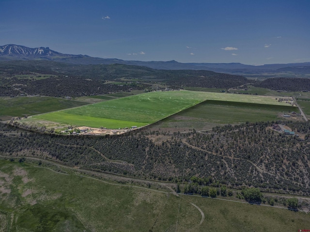 42254 Piburn Flats Rd, Crawford, CO 81415 - view of mountain background