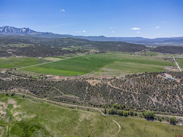 42254 Piburn Flats Rd, Crawford, CO 81415 - view of mountain background featuring rural landscape