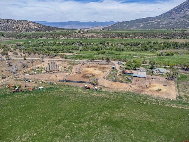 42254 Piburn Flats Rd, Crawford, CO 81415 - view of mountain background featuring rural landscape