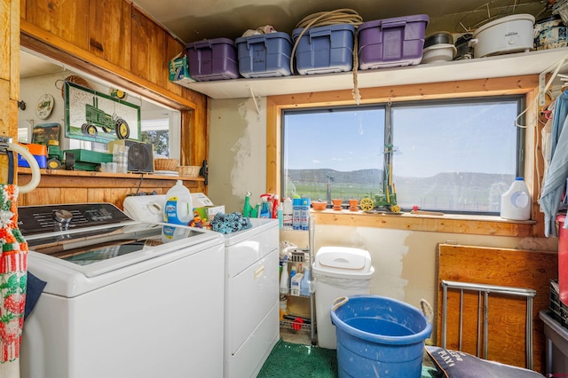 42254 Piburn Flats Rd, Crawford, CO 81415 - laundry area featuring washer and dryer and a mountain view