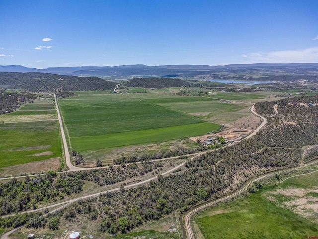 42254 Piburn Flats Rd, Crawford, CO 81415 - overview of rural landscape featuring a mountainous background