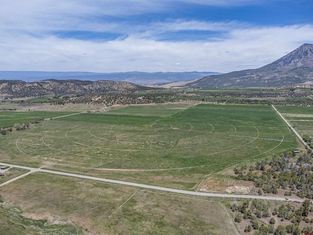 42254 Piburn Flats Rd, Crawford, CO 81415 - view of mountain background