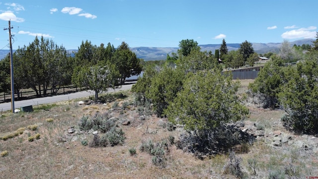 TBD Surface Creek Rd, Cedaredge, CO 81413