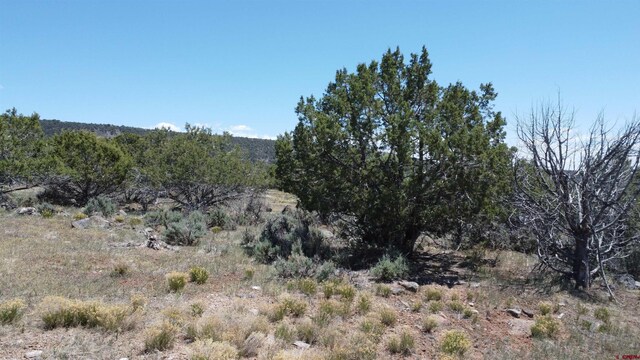 TBD Surface Creek Rd, Cedaredge, CO 81413