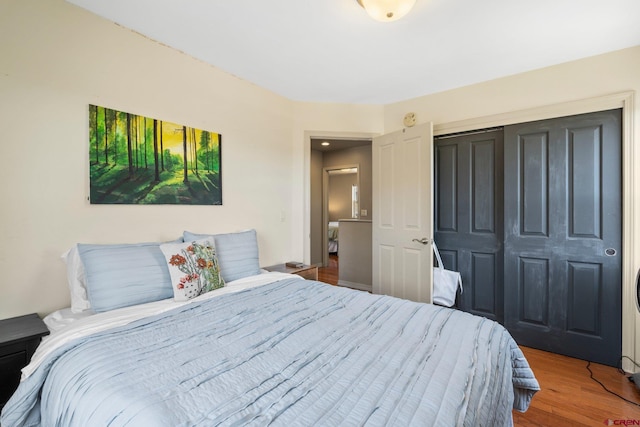 236 Sierra Vista St, Durango, CO 81301 - bedroom with wood finished floors and a closet