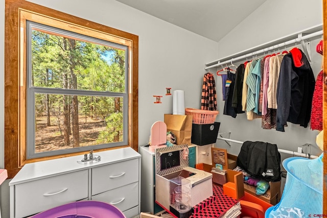 380 Eagle Pass, Durango, CO 81301 - spacious closet with vaulted ceiling