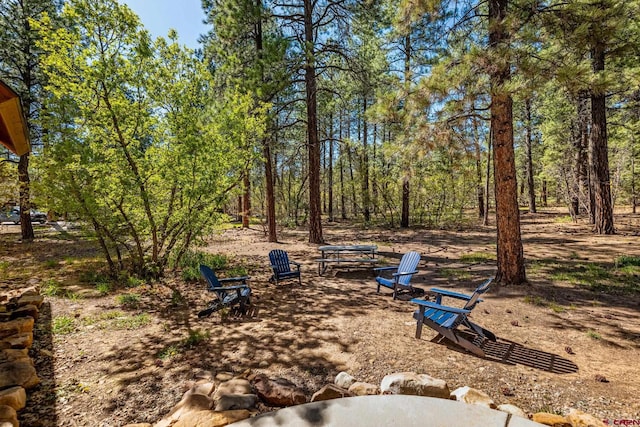 380 Eagle Pass, Durango, CO 81301 - view of yard