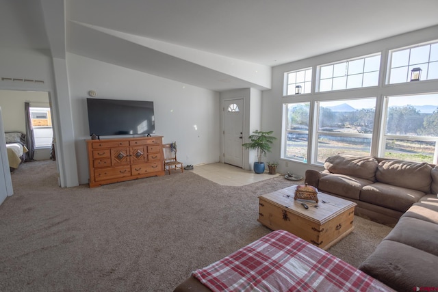 13569 3100th Rd, Hotchkiss, CO 81419 - living area with carpet floors and plenty of natural light