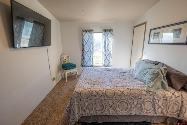 13569 3100th Rd, Hotchkiss, CO 81419 - view of carpeted bedroom