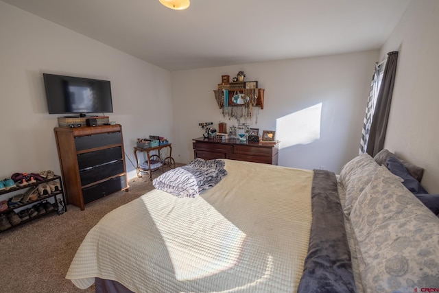 13569 3100th Rd, Hotchkiss, CO 81419 - bedroom featuring carpet floors and vaulted ceiling