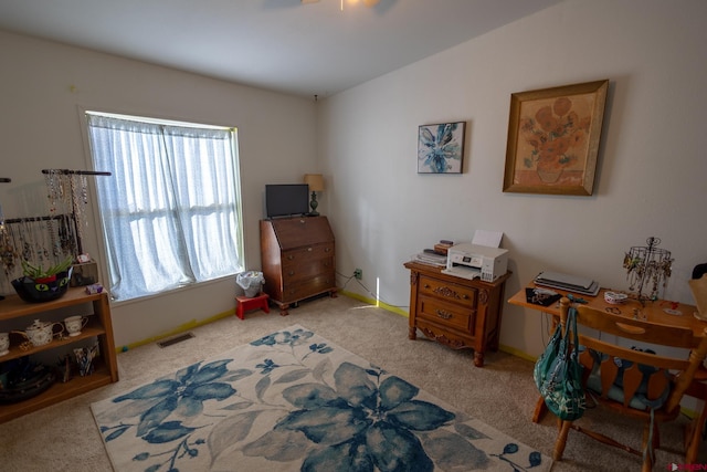 13569 3100th Rd, Hotchkiss, CO 81419 - office with carpet