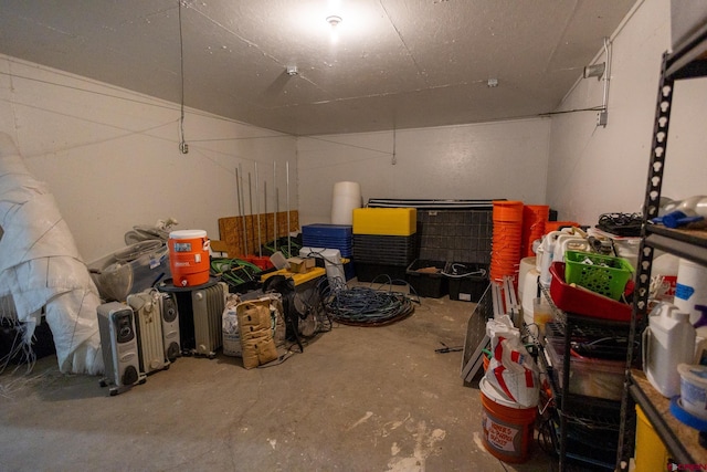 13569 3100th Rd, Hotchkiss, CO 81419 - view of storage area