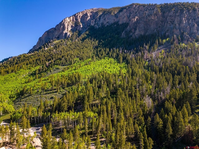 1665 Skyland Dr, Crested Butte, CO 81224