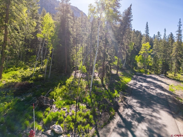 1665 Skyland Dr, Crested Butte, CO 81224