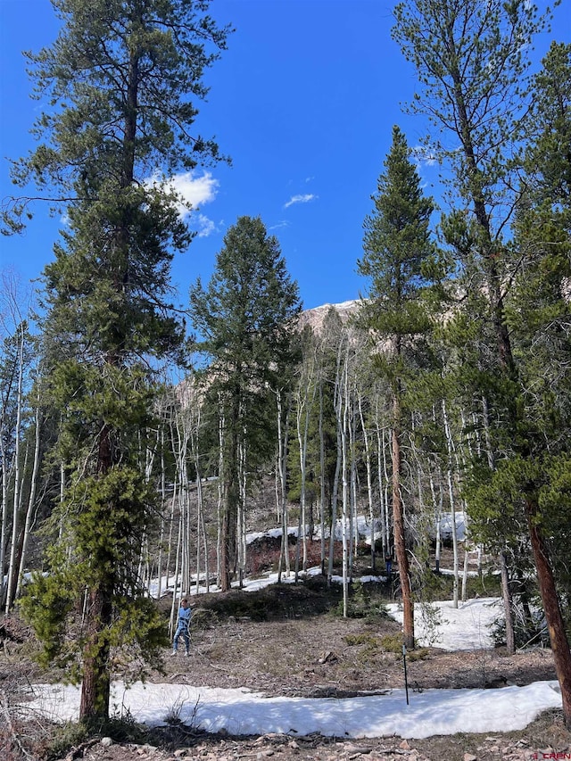 1665 Skyland Dr, Crested Butte, CO 81224