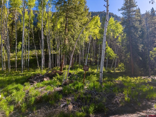 1665 Skyland Dr, Crested Butte, CO 81224