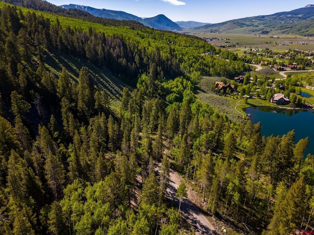 1665 Skyland Dr, Crested Butte, CO 81224