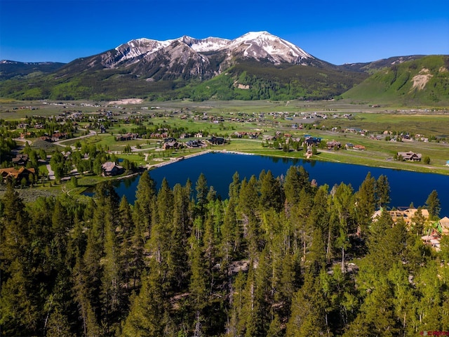 1665 Skyland Dr, Crested Butte, CO 81224
